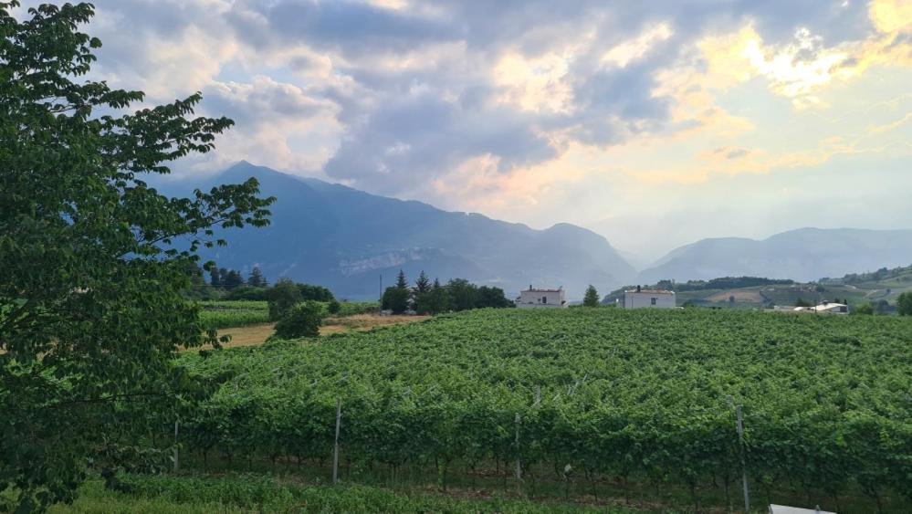 Appartamenti Moderni, Luminosi E Tranquilli Con Parcheggio Privato - Agritur La Tenuta Trento Exterior foto